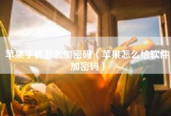 苹果手机怎么加密码（苹果怎么给软件加密码）