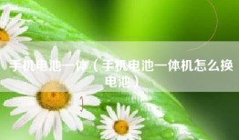 手机电池一体（手机电池一体机怎么换电池）