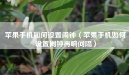 苹果手机如何设置闹钟（苹果手机如何设置闹钟再响间隔）