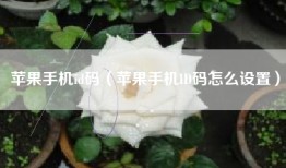 苹果手机id码（苹果手机ID码怎么设置）