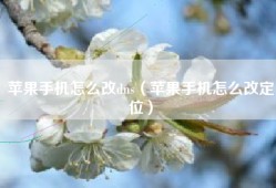 苹果手机怎么改dns（苹果手机怎么改定位）