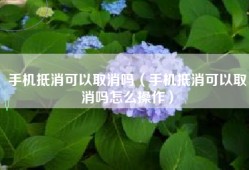 手机抵消可以取消吗（手机抵消可以取消吗怎么操作）