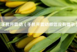 手机开震动（手机开震动微信没有提示）