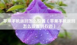 苹果手机返回怎么设置（苹果手机返回怎么设置到右边）