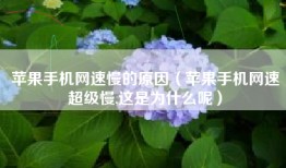 苹果手机网速慢的原因（苹果手机网速超级慢,这是为什么呢）