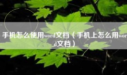 手机怎么使用word文档（手机上怎么用word文档）