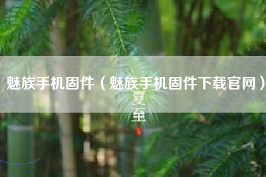 魅族手机固件（魅族手机固件下载官网）