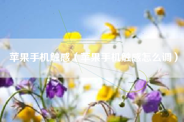 苹果手机触感（苹果手机触感怎么调）