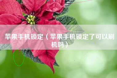 苹果手机锁定（苹果手机锁定了可以刷机吗）