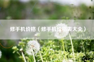 修手机价格（修手机价格表大全）